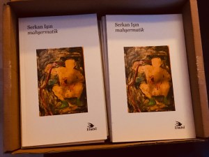 Mahşermatik'in kapak görsel Hakan Şarkdemir tarafından yapılmıştır. Arka kapaktaki fotoğraf ise yürürken çektiğim bir fotoğraftır. 